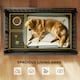 image 3 of PawHut 43" Foldable Heavy Duty Dog Crate w/ Locks, Removable Tray, Wheels