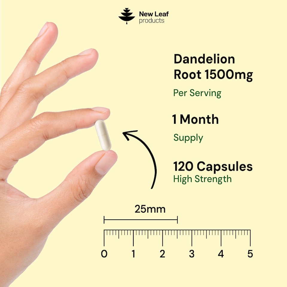 image 1 of Dandelion Root High Strength 120 Capsules, 1500mg P/S, 2-Months Supply
