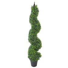Buxus Boxwood Spiral Trees 120cm Buxus Spiral Single 120cm Plants | Green | 4ft