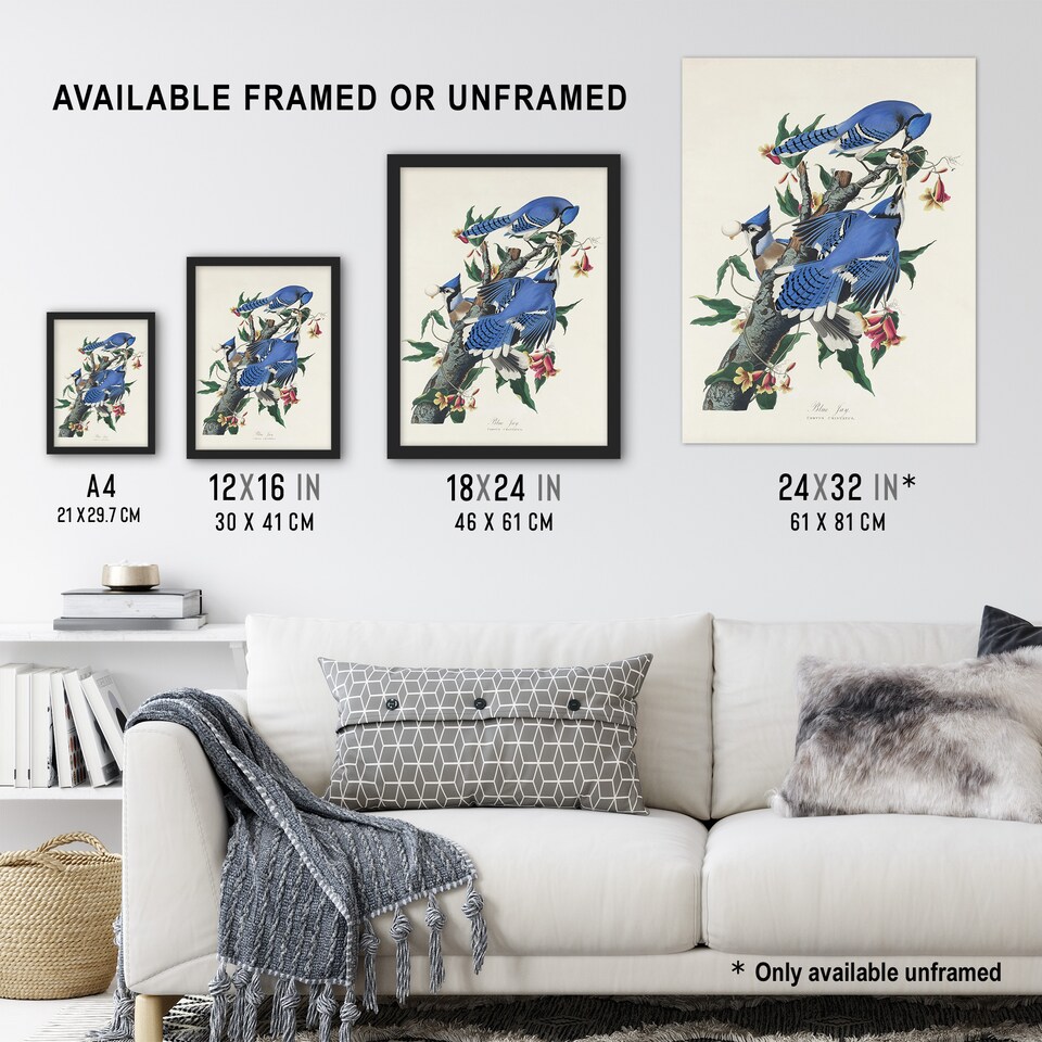 image 1 of Blue Jay and Trumpet Flowers Audubon Nature Huge Wall Art Poster Print 24X32"