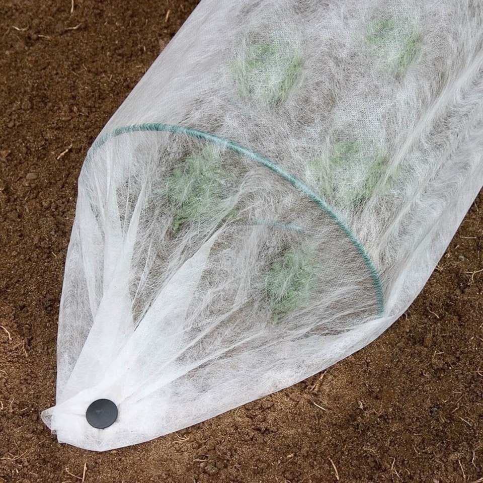Garden Tree Protective Fleece in White 1.6m x 10m