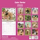 image 2 of Cairn Terrier 2026 Calendar | Square Wall Calendar | Dog Breed Gift | Plastic Free Packaging | by Avonside Publishing