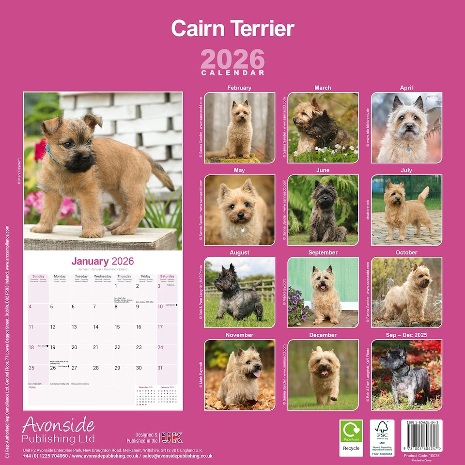 image 1 of Cairn Terrier 2026 Calendar | Square Wall Calendar | Dog Breed Gift | Plastic Free Packaging | by Avonside Publishing