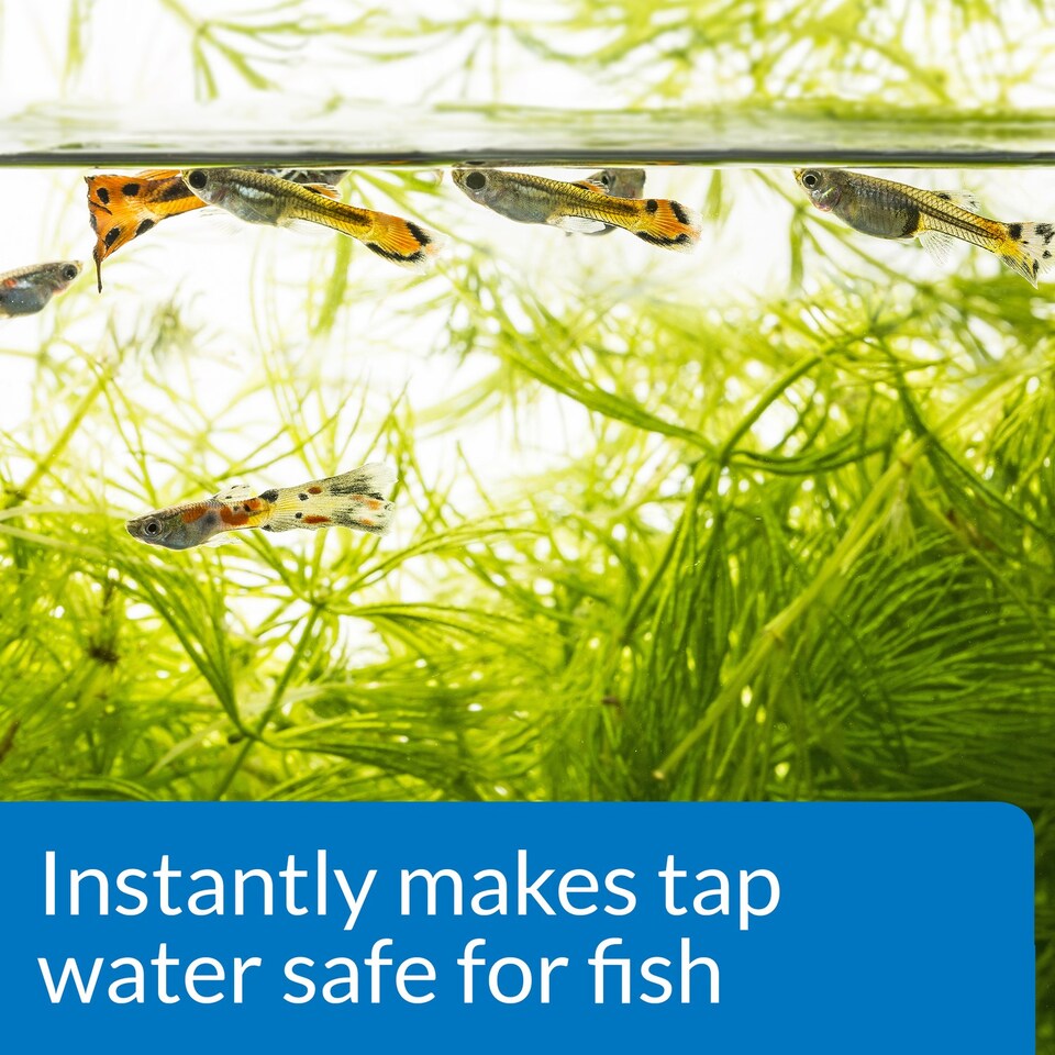 image 1 of 473ml Aquarian Tap Water Safe Water Conditioner Suitable For All Fish Aquarium and Fish Supplies
