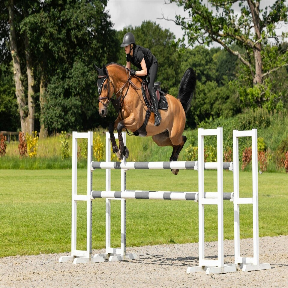 image 1 of LeMieux Puissance Suede CC Pad Black | Large