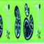 6 Kiwi