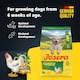 image 2 of Josera Junior YoungStar complete puppy food | Grain-free | All breed sizes | Lots of meat | Optimal digestibility | Salmon Oil Omega 3 | 12.5kg