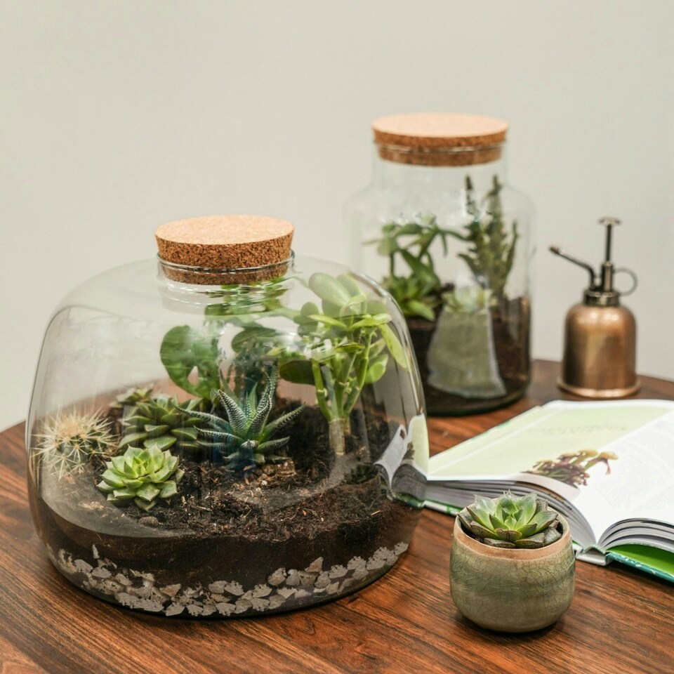 image 1 of Bowl Shape Terrarium DIY Kit Clear