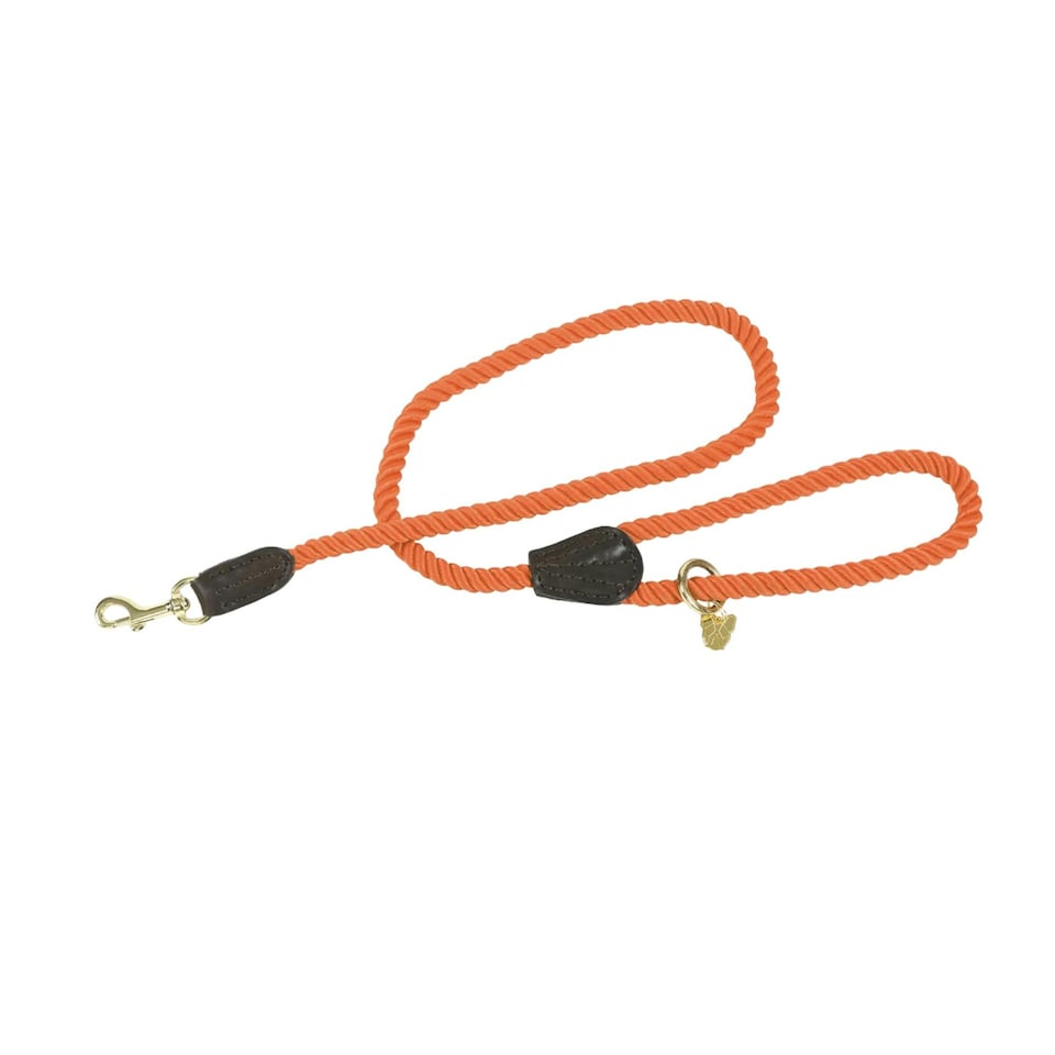 image 1 of Digby & Fox Twisted Dog Lead - Orange - One Size