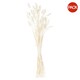 image 1 of Hill Interiors Bunny Tail Dried Flower (Pack of 60) - White - 60cm
