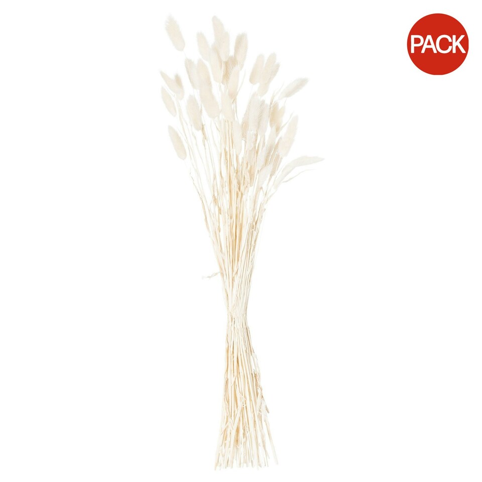 image 1 of Hill Interiors Bunny Tail Dried Flower (Pack of 60) - White - 60cm
