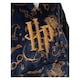 image 2 of Harry Potter Womens/Ladies Embroidered Logo Blanket Hoodie | Blue | Blue | One Size | 1