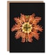 image 1 of Ernst Haeckel Art Card Tunicate Marine Animal on Black