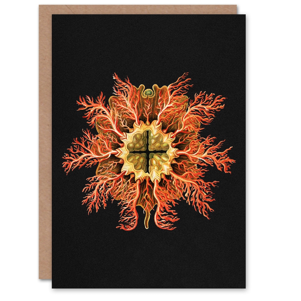 image 1 of Ernst Haeckel Art Card Tunicate Marine Animal on Black
