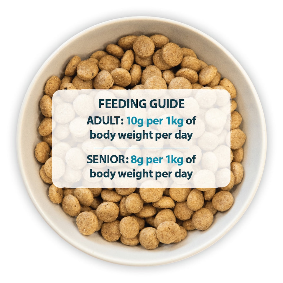image 1 of Burns Sensitive Pork & Potato Hypoallergenic Low-Fat Adult Dry Dog Food - 6 kg