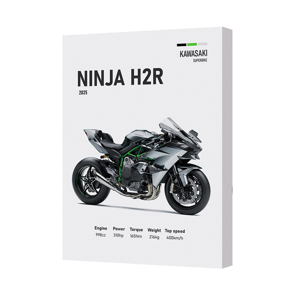 Kawasaki Ninja H2R Canvas Wall Art Motorcycle Print 2025