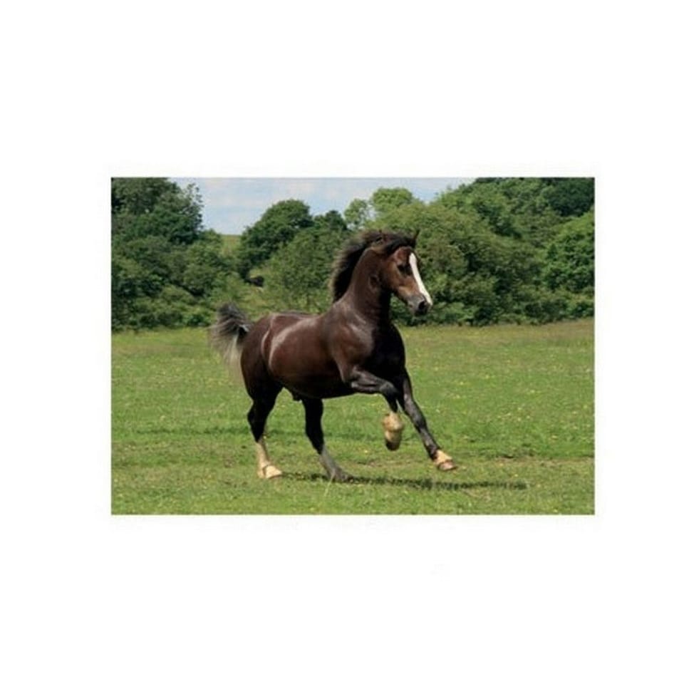 Kevin Milner Countryside Dark Bay Greetings Card - Multicoloured - One Size