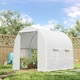image 2 of Outsunny Greenhouse Solid Frame Walk-in Garden Grow Large Insect Poly Tunnel