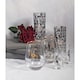 image 2 of V&A Alice in Wonderland Tumbler Set 350ml Set of 2 Clear