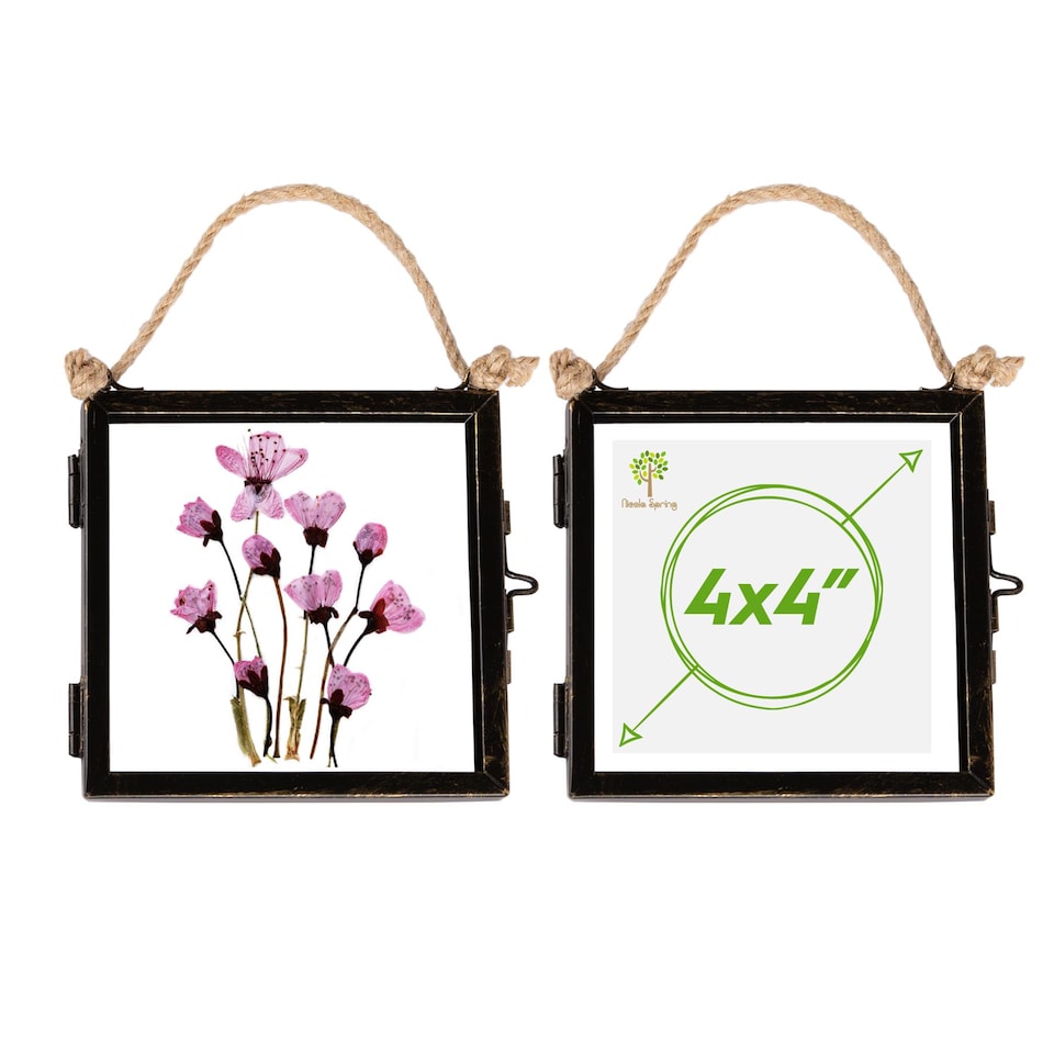 image 1 of Nicola Spring Hanging Metal Photo Frames - 4" x 4" - Black - Pack of 2 | Black | Black | One Size