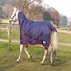 image 1 of Rhinegold Full Neck Torrent N/A | Colour: Star
Size: 6ft 0