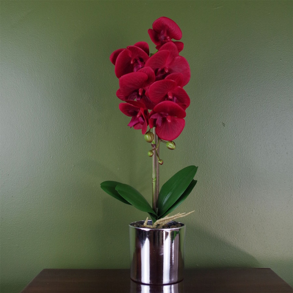 image 1 of Artificial Orchid Red with Silver Pot 46cm Botanik