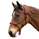 image 2 of Hy Double Braided Rope Halter - Pink - One Size