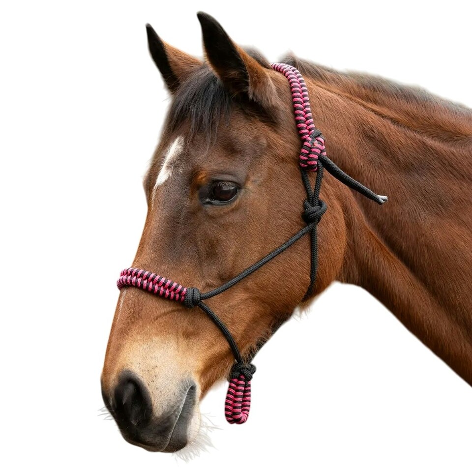 image 1 of Hy Double Braided Rope Halter - Pink - One Size