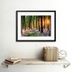 image 2 of Bluebell Wood Sunrise Trees Photograph 12x16" Framed Wall Art Print