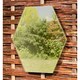 image 4 of Primrose Set of 7 Small Hexagonal Gold Garden Mirrors 11in