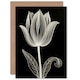 image 1 of Single Tulip Flower Folk Lover Wife Birthday Card