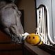 image 3 of LeMieux Horse Toy N/A | Colour: Flying Pig
Size: One Size