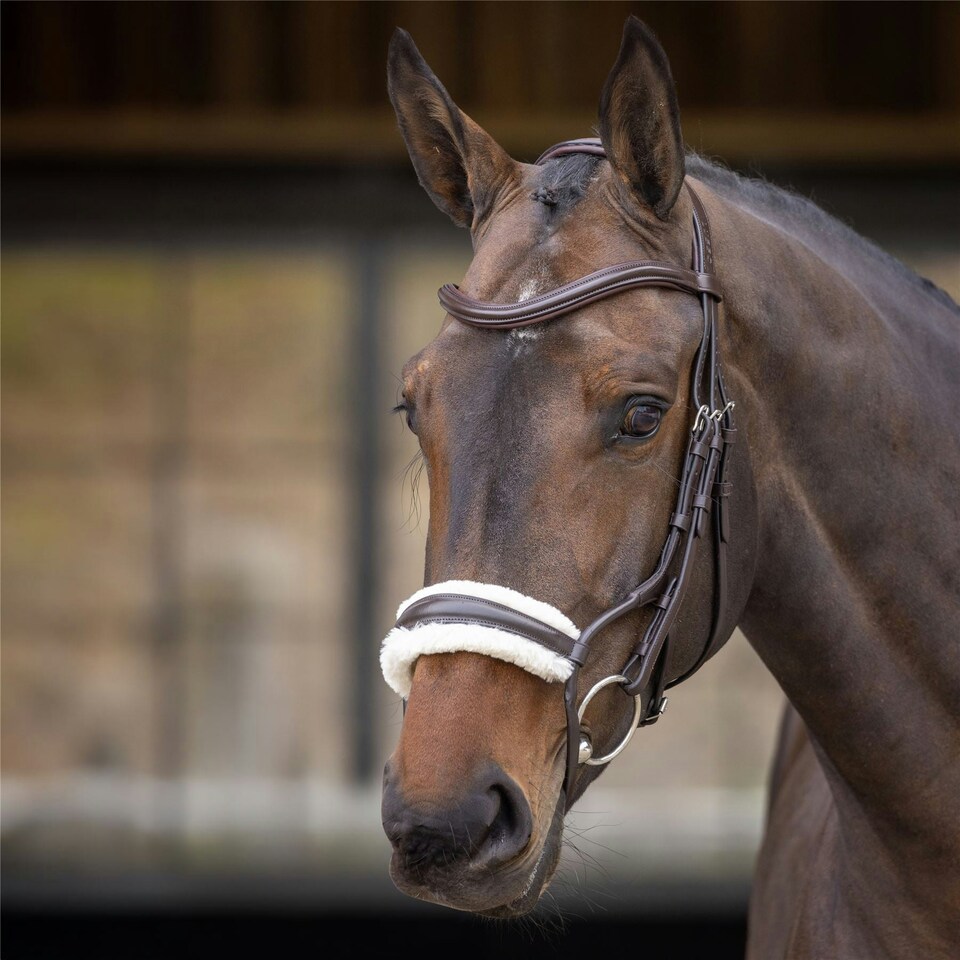 image 1 of Shires Velociti Rapida Rolled Fleece Noseband Brown | Size: Cob
Colour: H.Brown