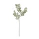 image 4 of Artificial Silver Wattle Leaf - Plastic - L22 x W22 x H73 cm - Green