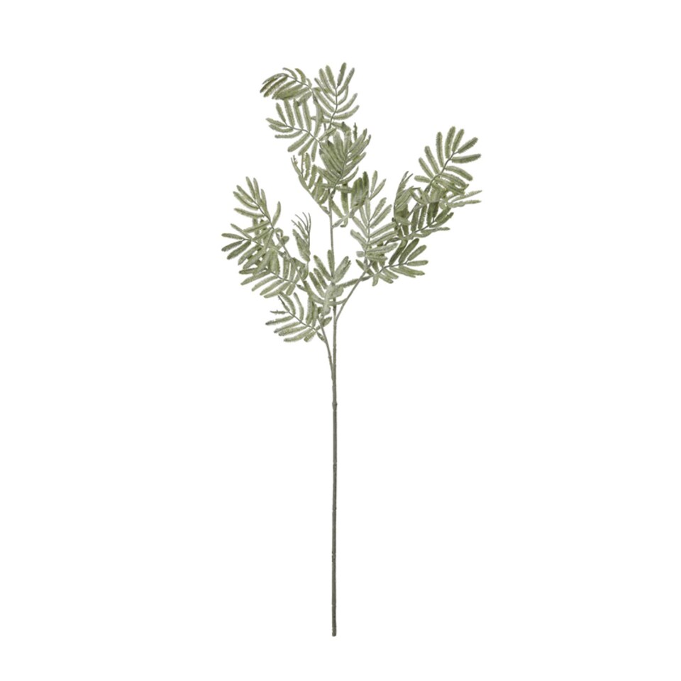 image 1 of Artificial Silver Wattle Leaf - Plastic - L22 x W22 x H73 cm - Green
