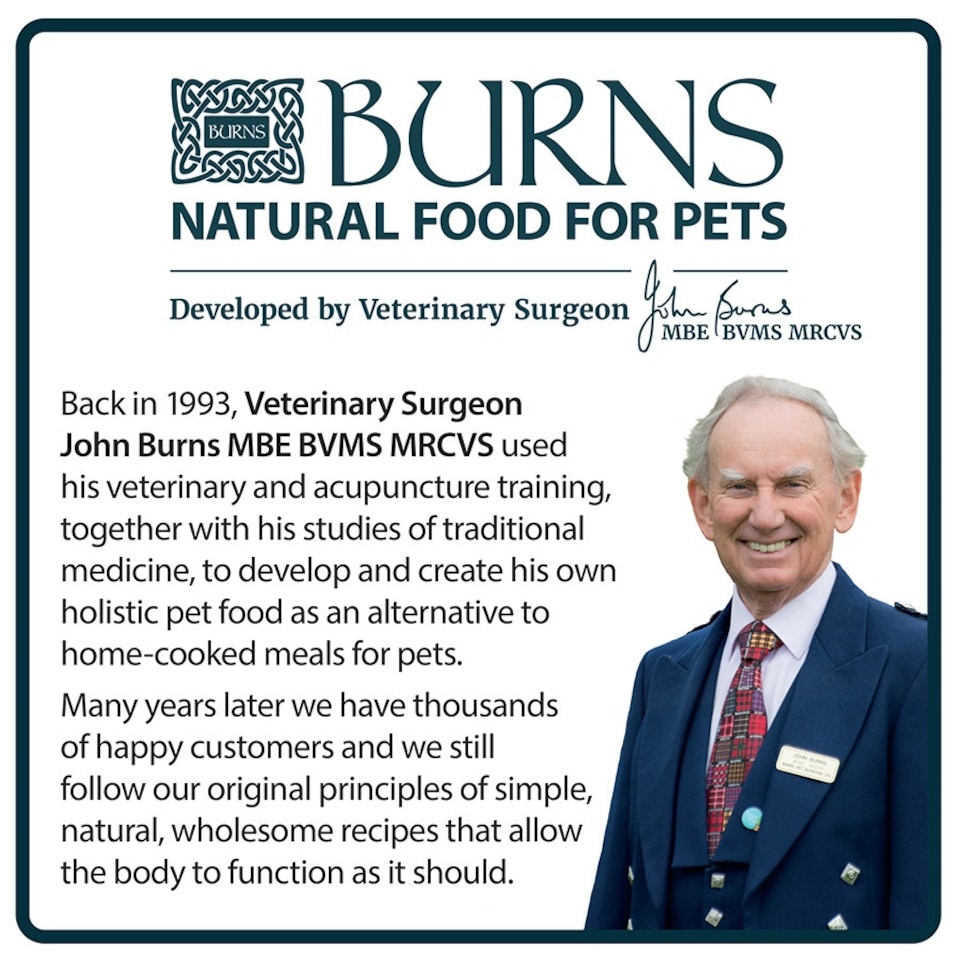 image 1 of Burns Original Puppy Dry Dog Food Chicken & Rice 6kg