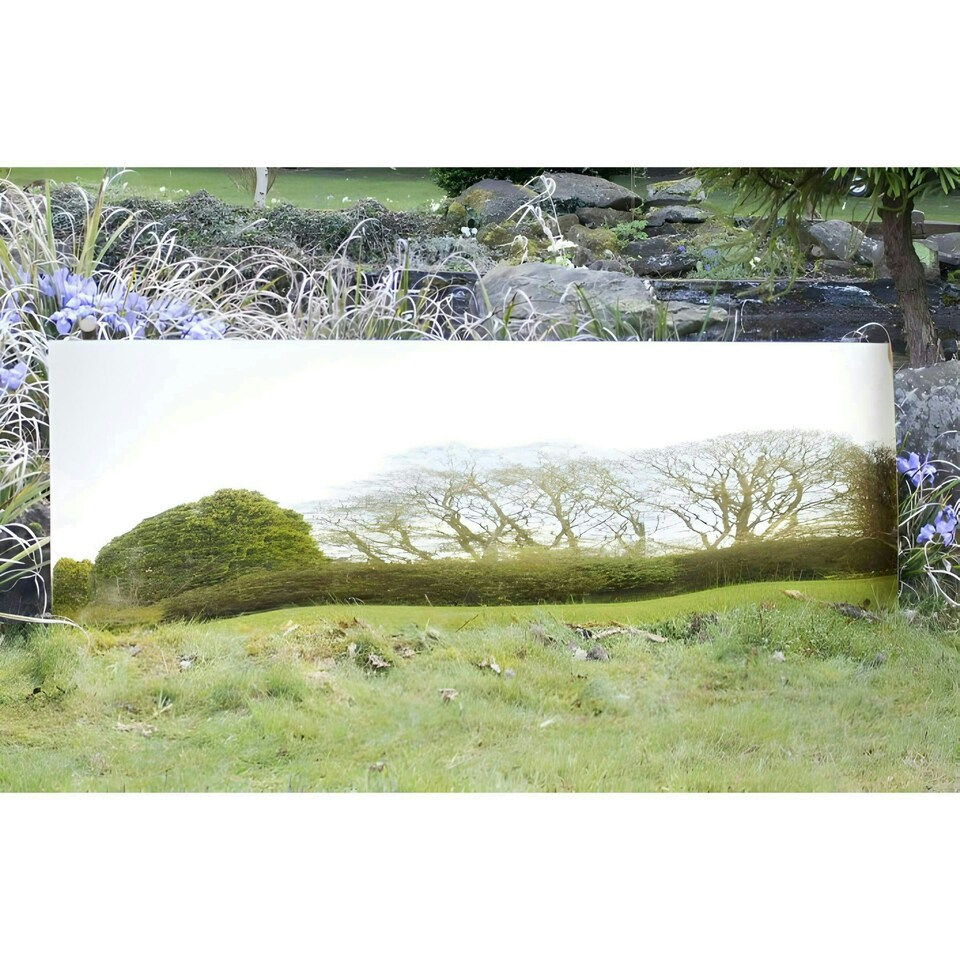 image 1 of Primrose Acrylic Gold Rectangular Garden Illusion Mirror 180cm x 44cm