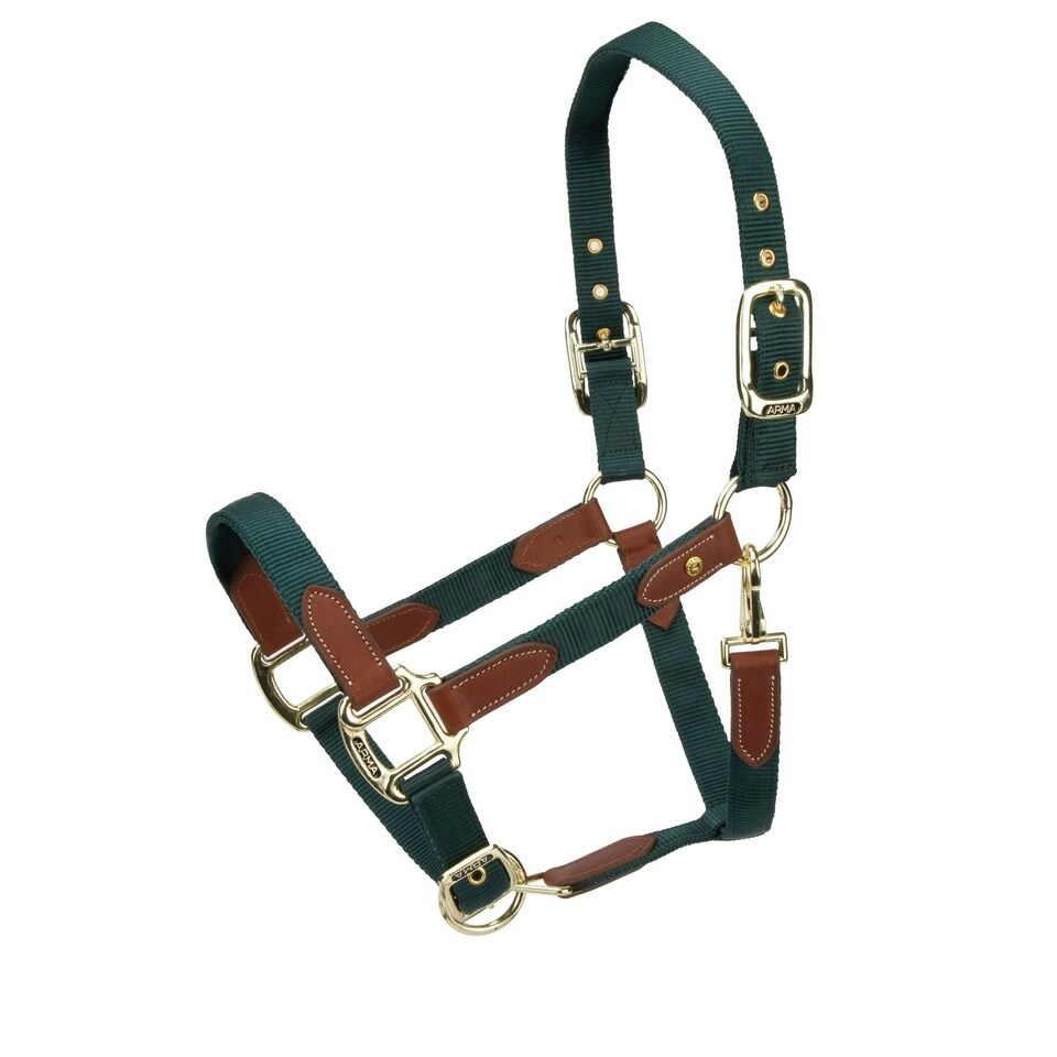 image 1 of ARMA Porto Headcollar Black | Colour: Black Cherry
Size: Pony