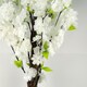 image 2 of 150cm Artificial White Blossom Tree