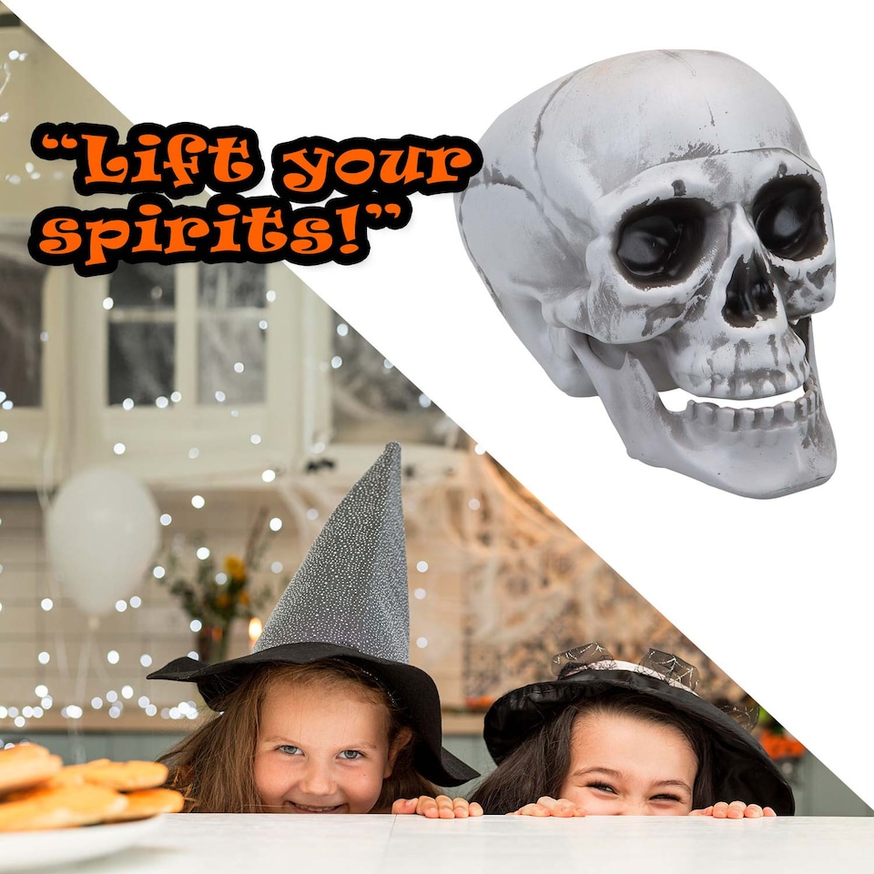 image 1 of PMS Large Skull Decoration with Moving Jaw - 19cm White