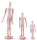image 1 of 3 x Assorted Size Artists Wooden Manikin Movable Limbs Human Joints Manikins Manakin Mannequin