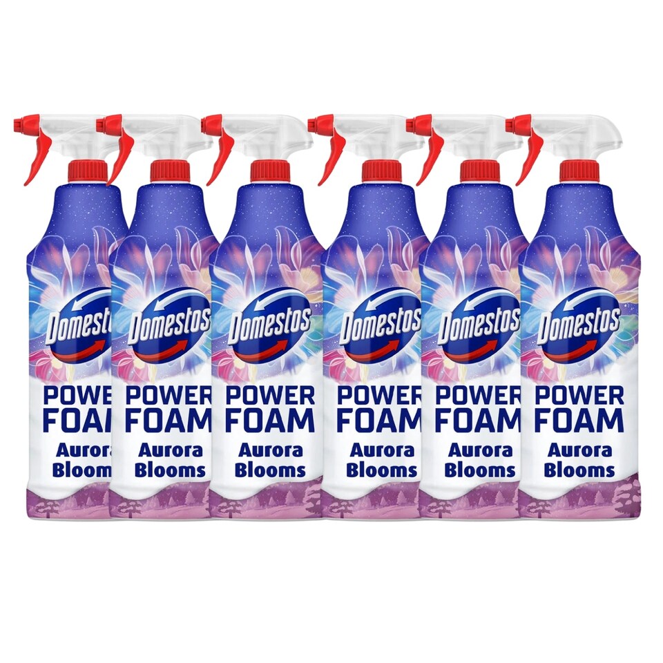 Domestos Power Foam Aurora Blooms Winter 650ml