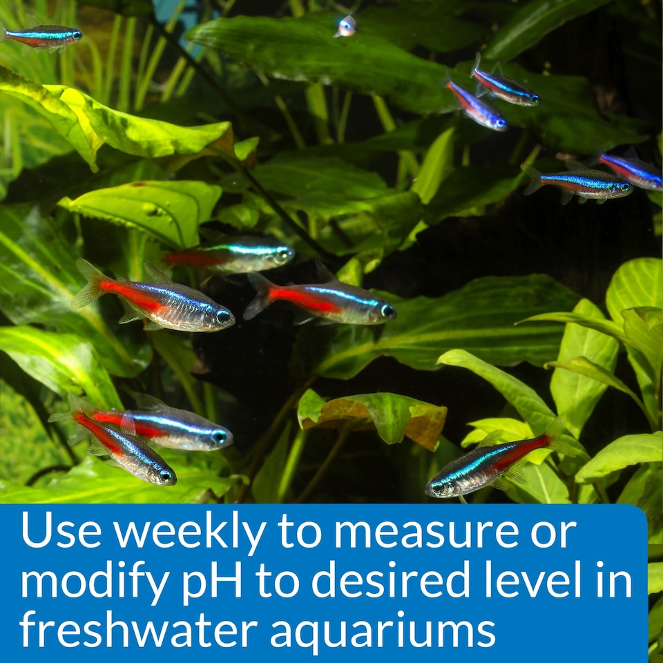 image 1 of API pH Test & Adjuster Kit Tests & Balances Aquarium pH Levels Quickly Water Treatment & Test Kit