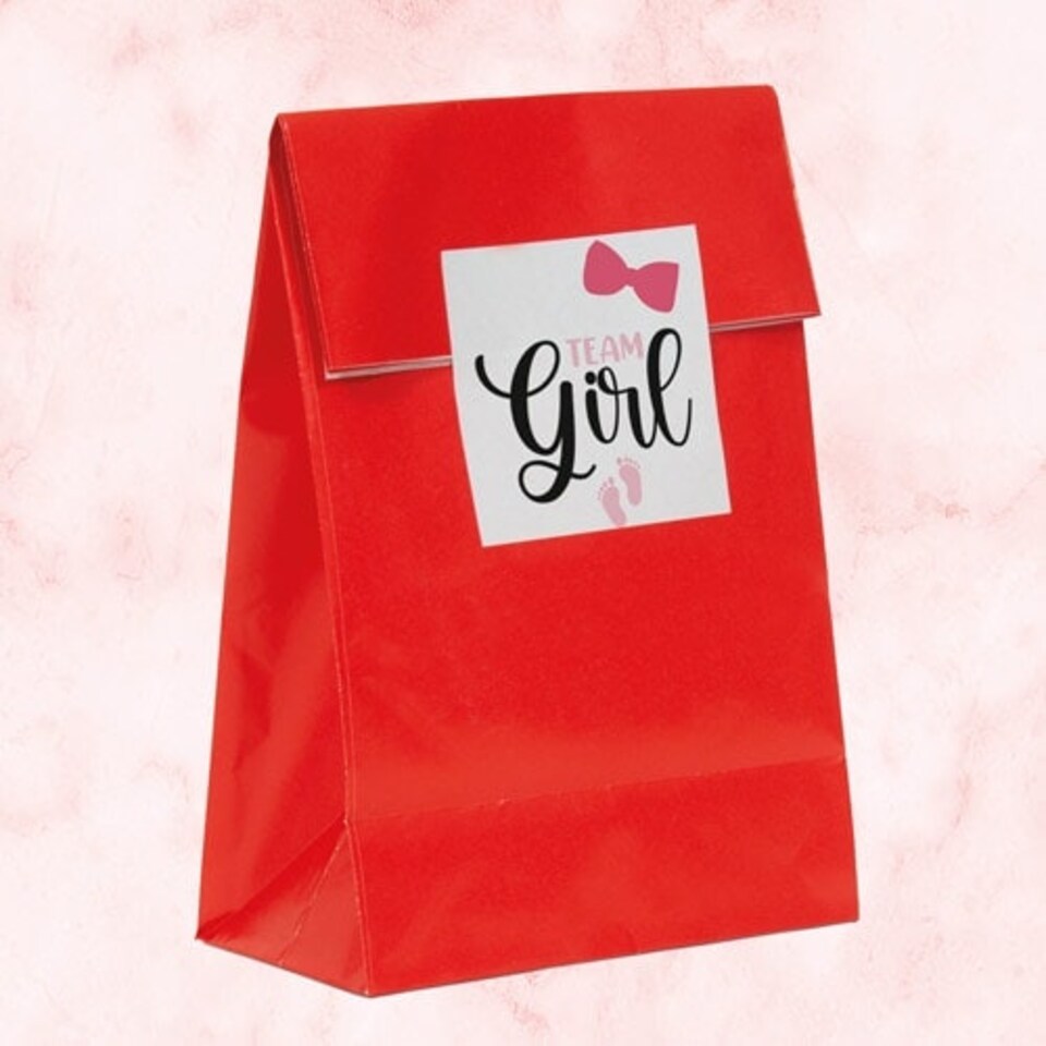 image 1 of Team Girl Gender Reveal Square Stickers 65mm - Sheet of 12