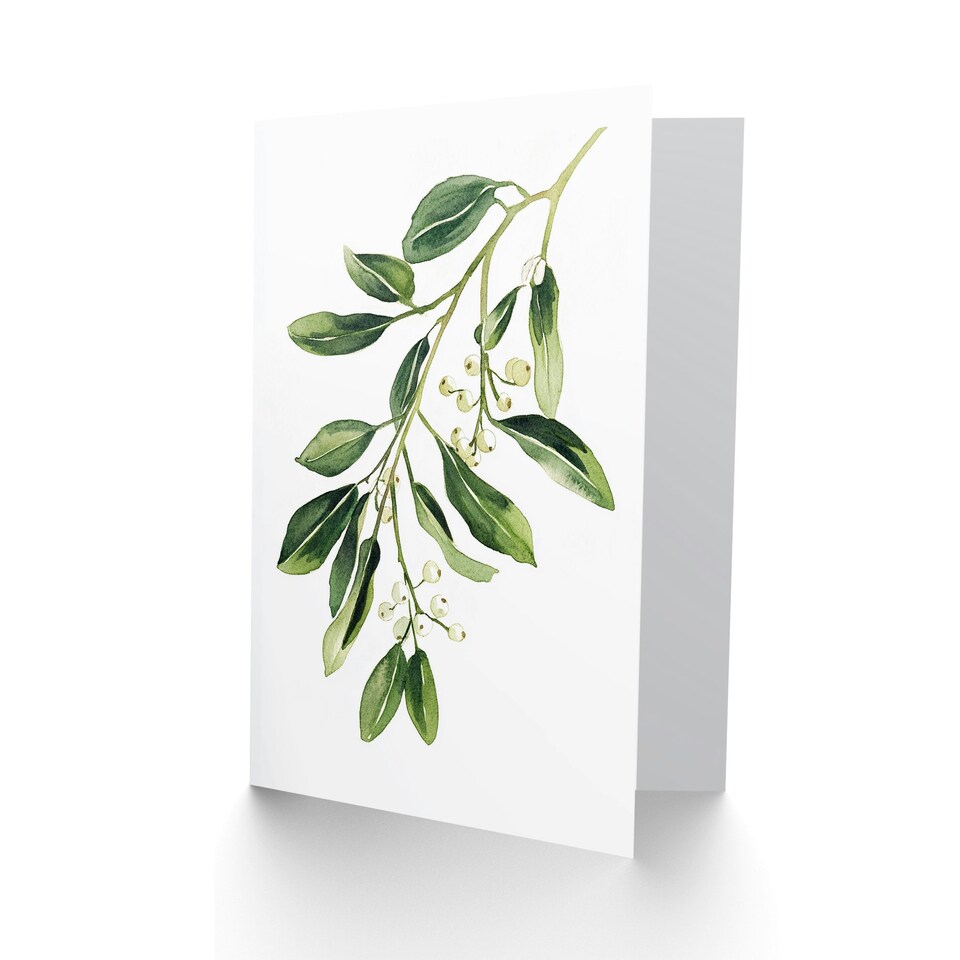 image 1 of Mistletoe Branch Soft Bright Blank For Him Or Her Art Xmas Festive Christmas Card