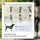 image 3 of PawHut 3 Wheel Pet Stroller, for Medium Small Dogs, Foldable Cat Pram - Yellow