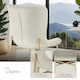 image 5 of Dining Chair Tessa - ergonomic high backrest, slim steel legs, soft fabric - Set of 2 Cream | Velvet Look Beige/Gold
