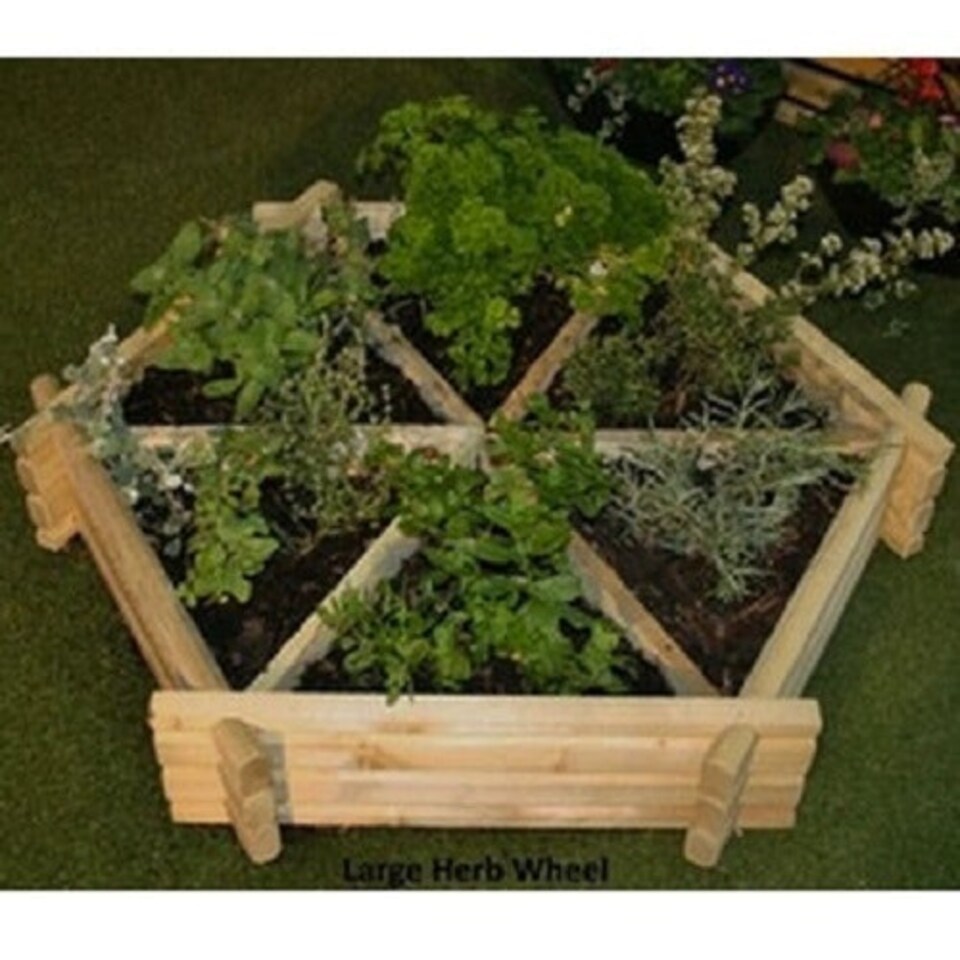 Medium Herb Wheel / Planter - Timber Brown