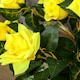 image 9 of Outsunny Set of 2 90cm Artificial Rose Tree, Fake Decorative Plant, Yellow