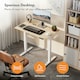 image 3 of VonHaus Adjustable Electric Standing Desk with USB-C charging
